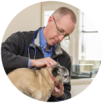 Owner Russell Brewer - Care Animal Hospital customer testimonial